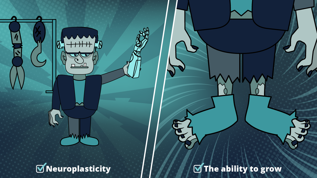 Ways to assess if one’s regression testing capability is alive