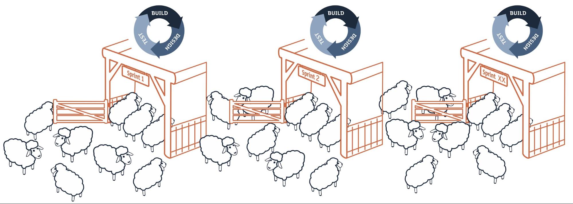 Implementing Agile: The Process